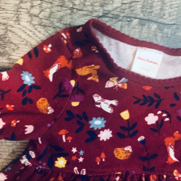 Hanna Andersson Other - Long Sleeve Hanna Andersson Animal Dress 12-18 M